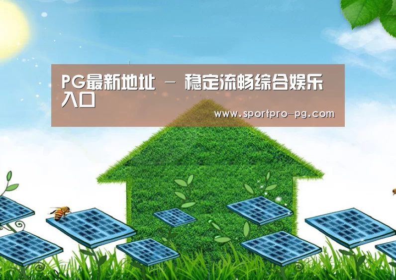 PG入口公司