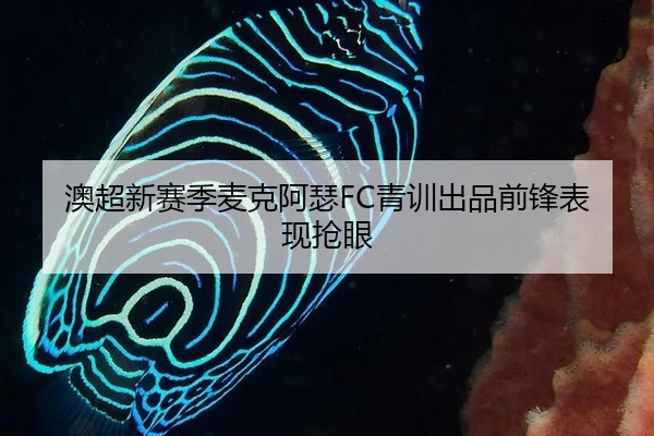 ao-chao-xin-sai-ji-mai-ke-a-se-qing-xun-chu-pin-qian-feng-biao-xian-qiang-yan-2-654.jpg