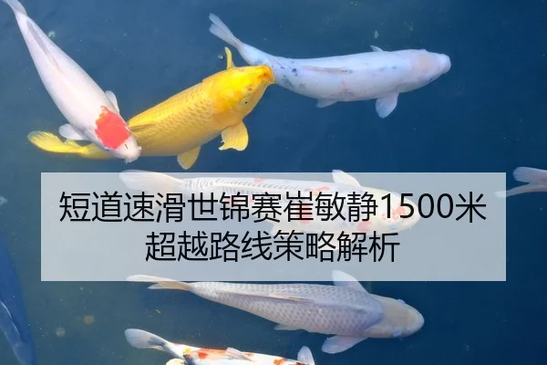 短道速滑世锦赛崔敏静1500米超越路线策略解析
