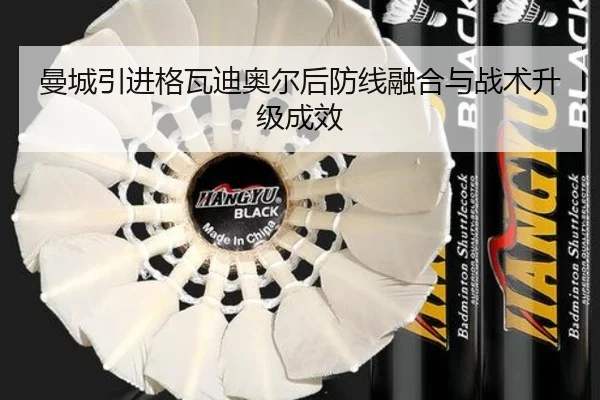 man-cheng-yin-jin-ge-wa-di-ao-er-hou-fang-xian-rong-he-yu-zhan-shu-sheng-ji-cheng-xiao-3-338.jpg
