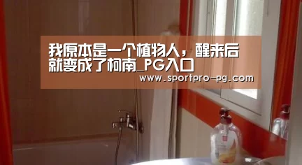 PG棋牌